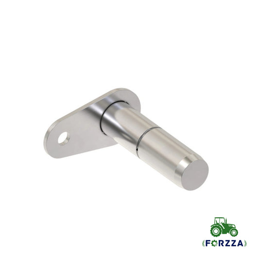 Pino Fixador -AN302234 - Forzza.